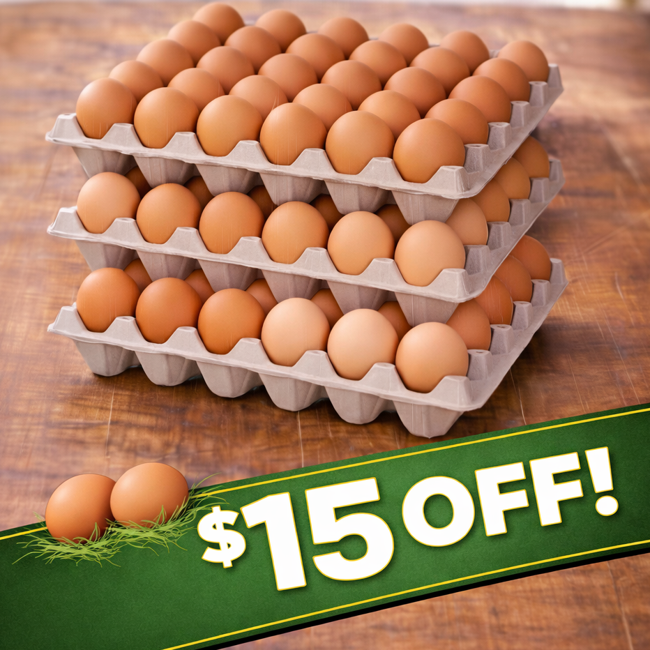 Free Range Eggs – 3 Trays (90 Eggs) 600g | SALE