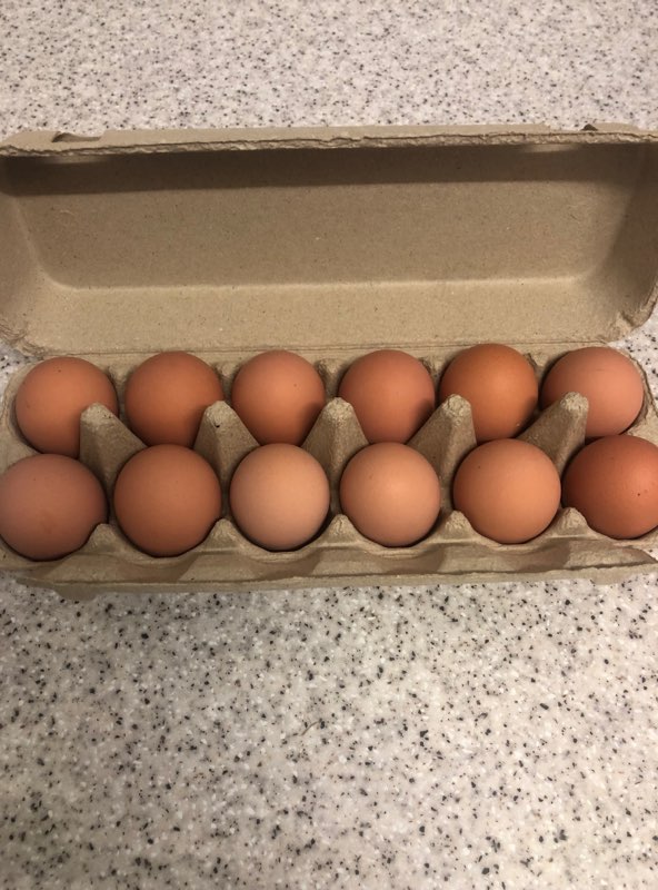 Free Range Eggs 12 carton 700g