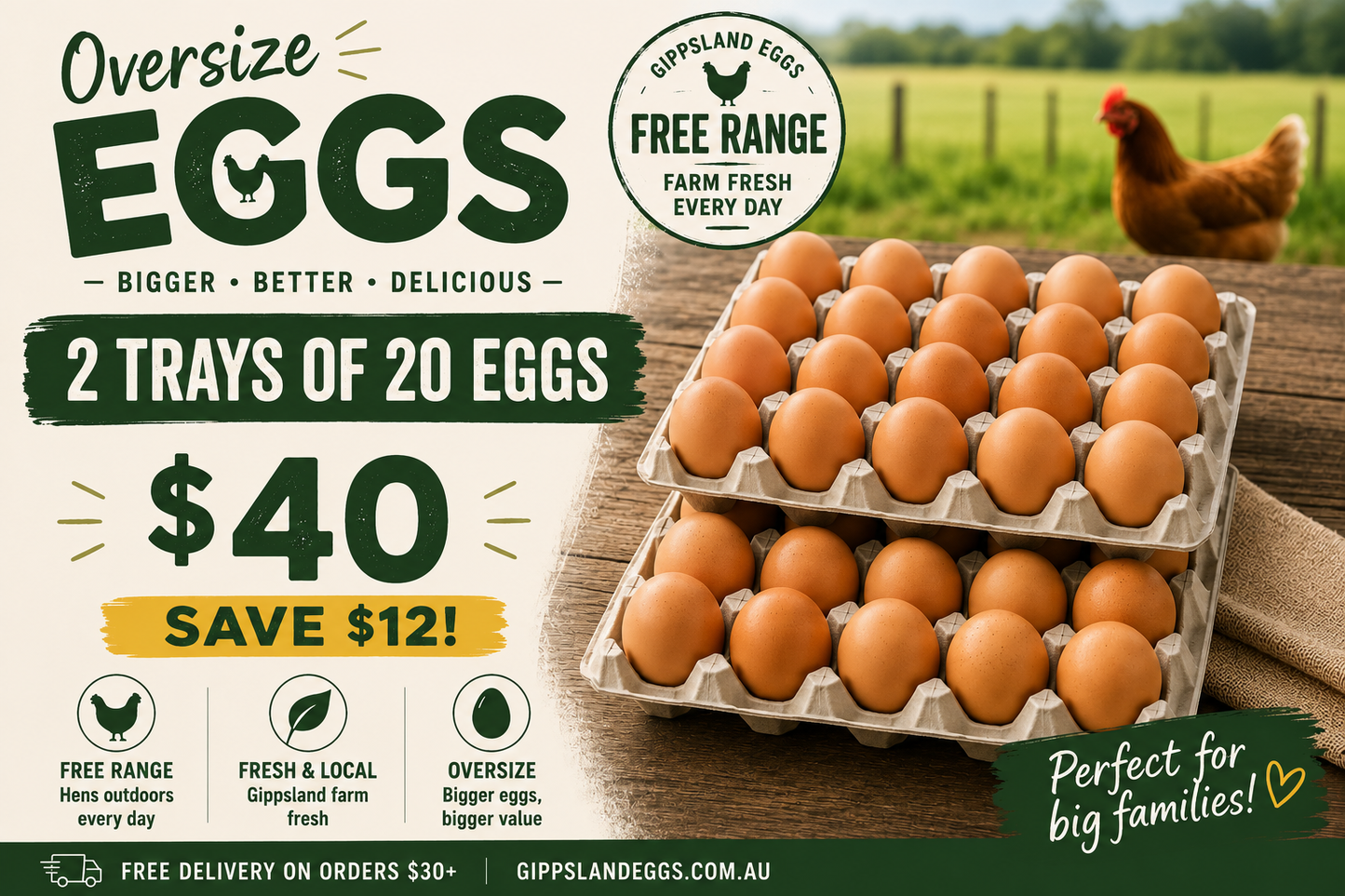 Oversize Free Range Eggs – 2 Trays (20 Eggs Each)